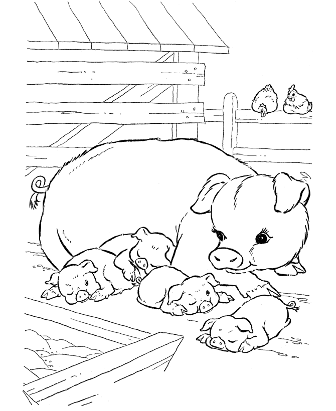 VOLTA ÀS AULAS ANIMAIS DA FAZENDA PARA COLORIR IMPRIMIR I NOME DO