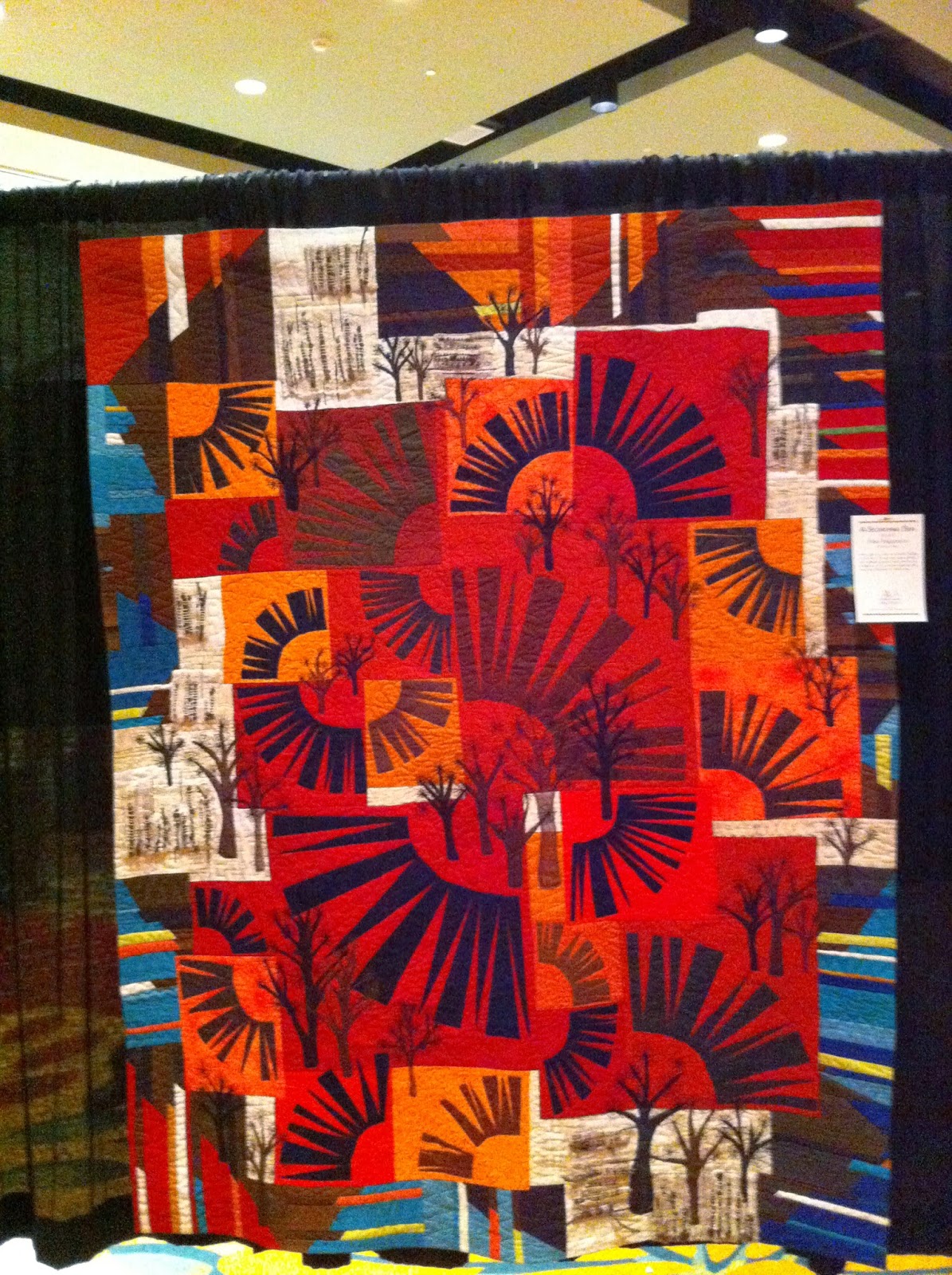 heather kojan quilts Lancaster Quilt Show Part 2 The Quilts