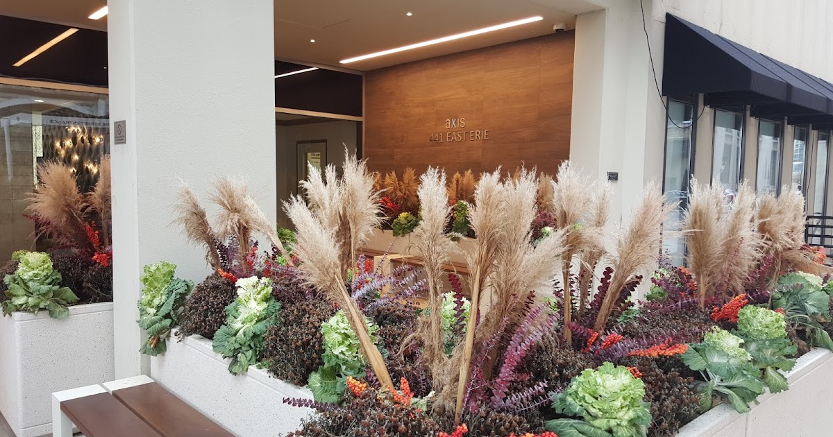 The Chicago Real Estate Local Stopping by the Axis Apartments in