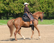 Elaine Ward Western Dressage Website