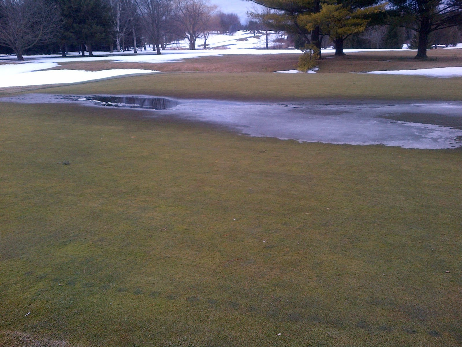 Meadowbrook Greens Department