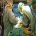 Kalp Hastalarına Eriyen Stent Uygulaması Eriyen Stent Hakkında Bilgi
