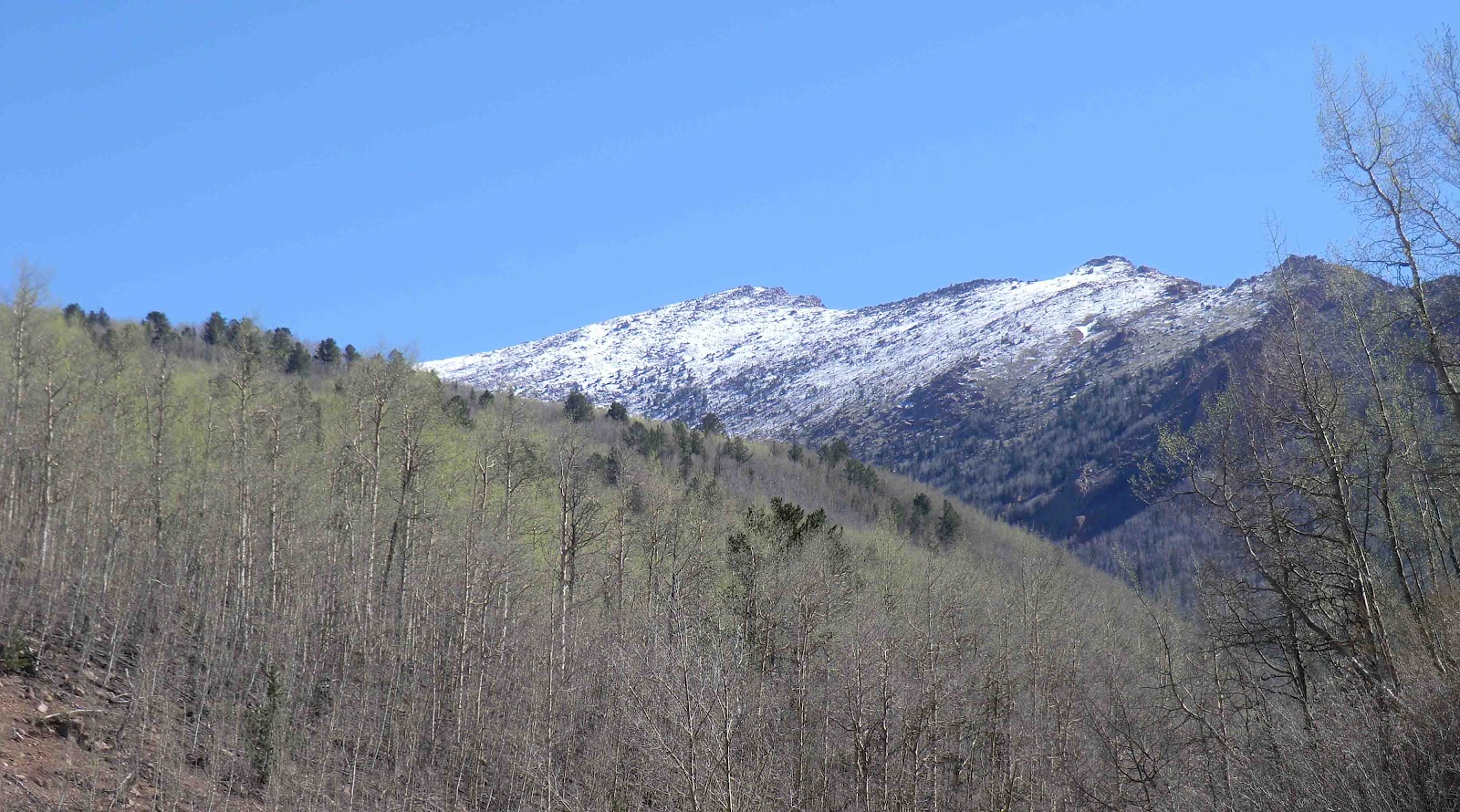 Colorado Brevets Riding the Cripple Creek Pine Junction 300k
