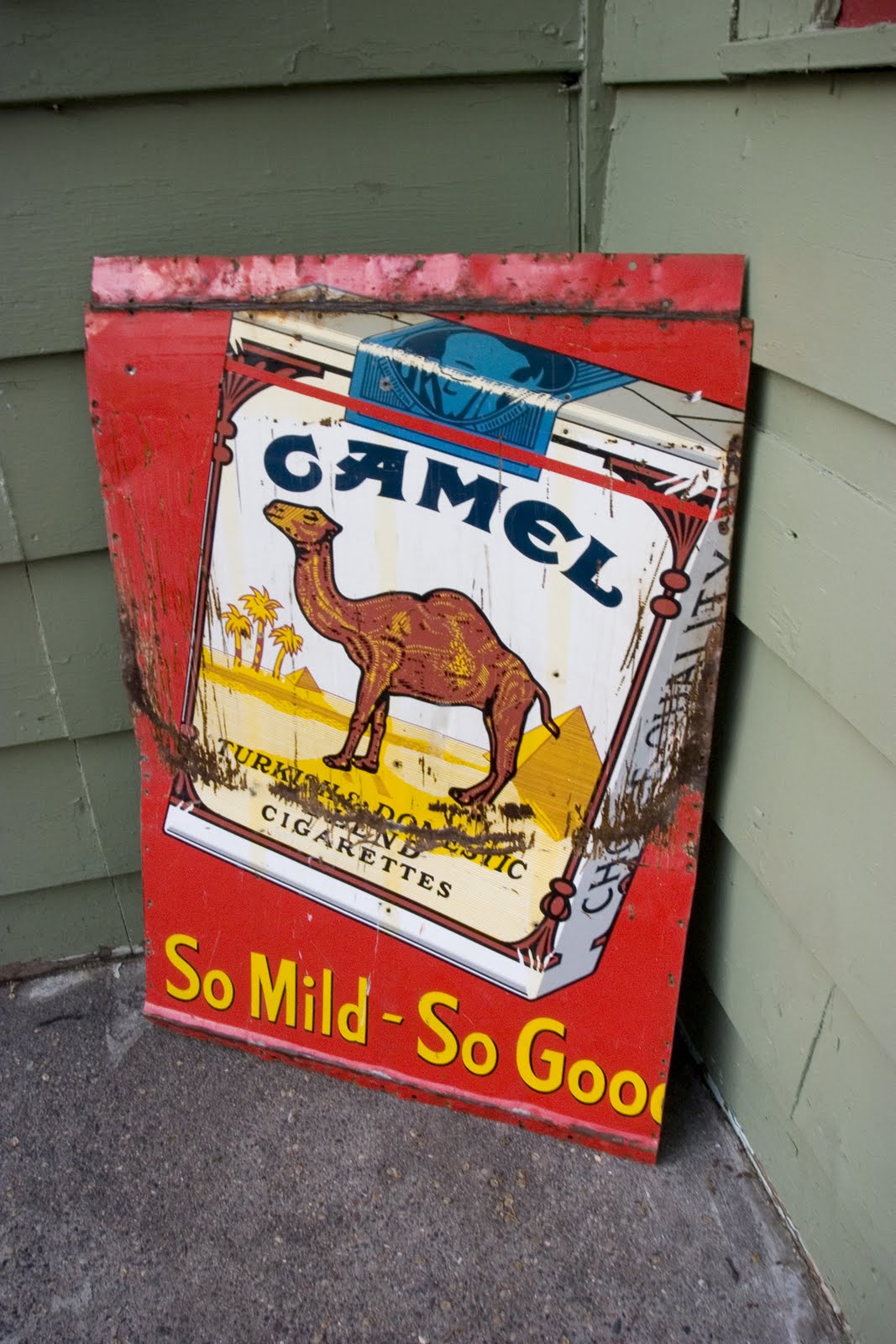 Camel Advertisements