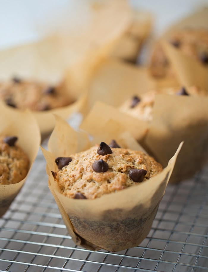 Vegan Chocolate Chip Muffins Vegan Recipe