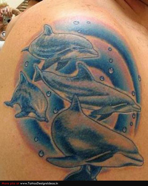 wild tattoos dolphin tattoo designs wild tattoos dolphin tattoo designs