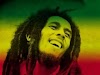 O rei leão Bob Marley