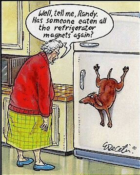Dog Cartoon Collection ~ Funny Joke Pictures