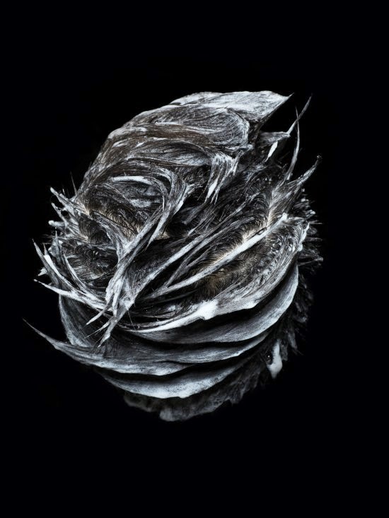 Os cabelos ensaboados na fotografia fashion/artística de Cheuk Lun Lo Cheuk Lun Lo fotografia fashion artística cabelos penteado ensaboados