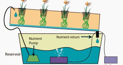 Berkebun: 15 Great Grow Tips for Nutrient Film Technique (NFT