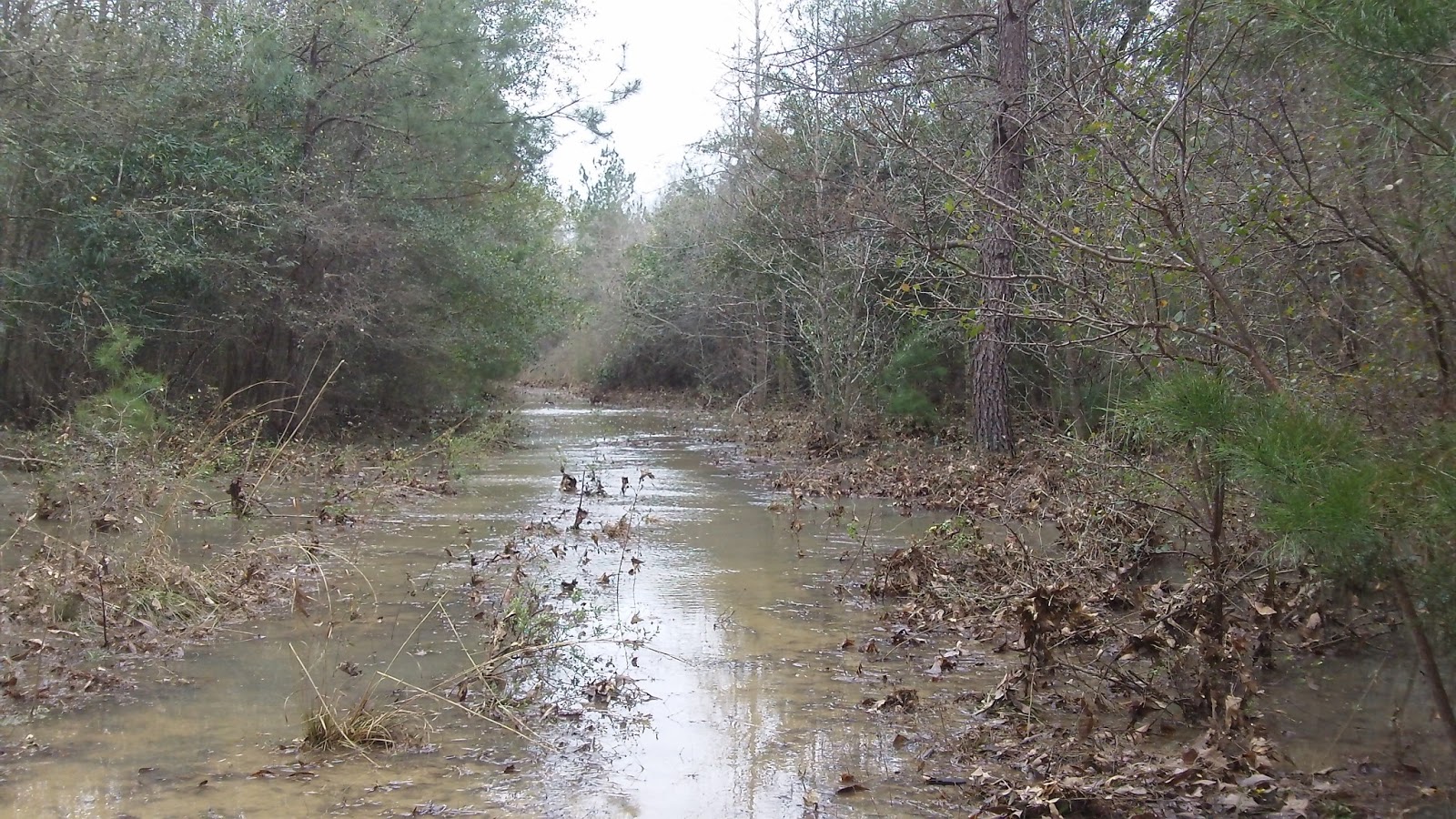 Jackson County, Florida Water Flows Uphill at Bellamy Bridge?
