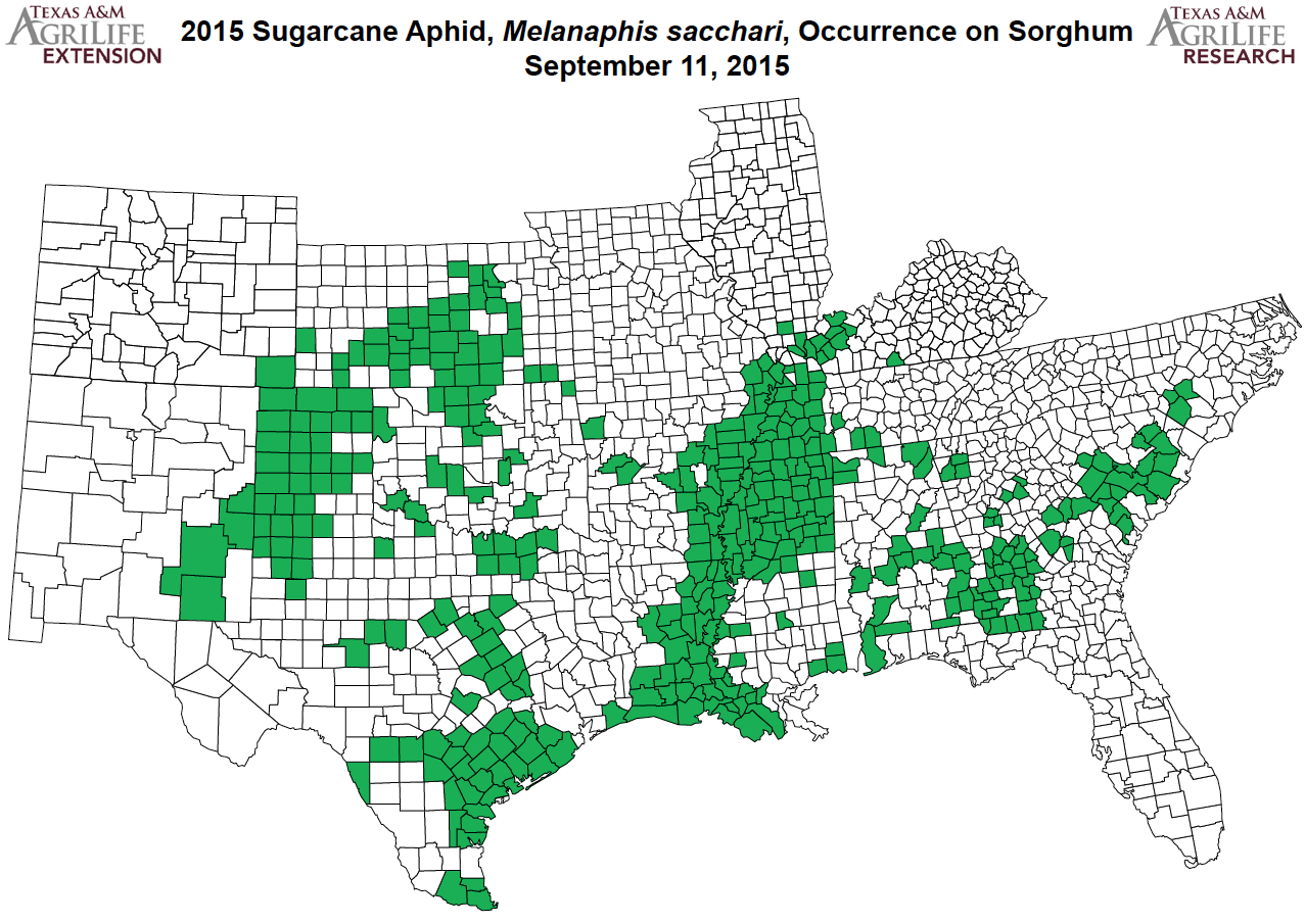 the new map does not try to track the severity of infestations but is simply meant to present counties with confirmed populations the new map does not try to track the severity of infestations but is simply meant to present counties with confirmed populations