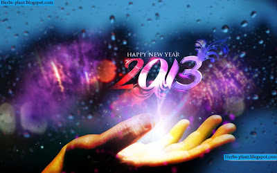 سنة سعيدة 2013 - New year 2013 سنة سعيدة 2013 - New year 2013