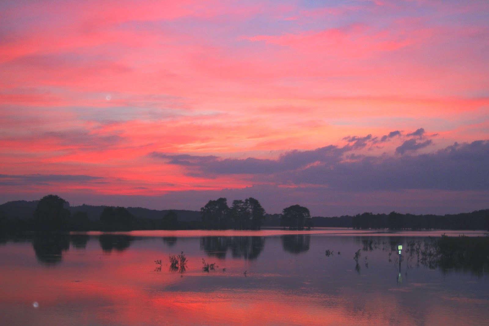 Piney Flatwoods Girl Summer Lean 8/15/14 Piney Z Lake in Tallahassee