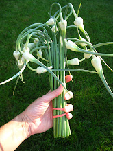 Garlic Scapes