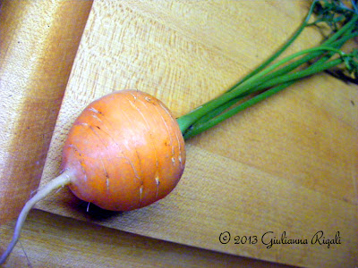 Organic Parisian Carrot - the round, sweet carrot