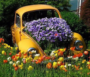 FUSCA ESPECIAL DE PRIMAVERA