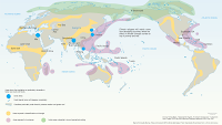 50 Million Displaced