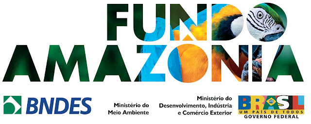 http://4.bp.blogspot.com/-xW9q2LOnrc0/TvwxrCxh3qI/AAAAAAAAYkM/rwOiJ2FYYf8/s1600/Fundo%2BAmaz%25C3%25B4nia.jpg