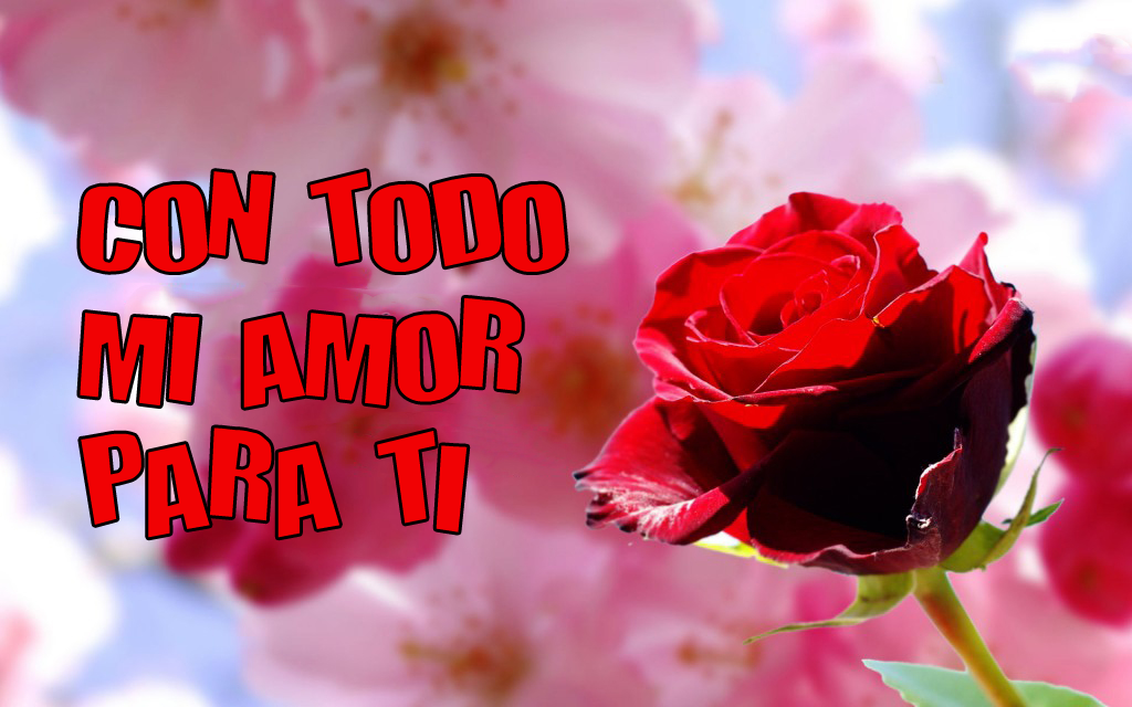 Imagenes de amor para facebook | Imagenes Postales y Tarjetas