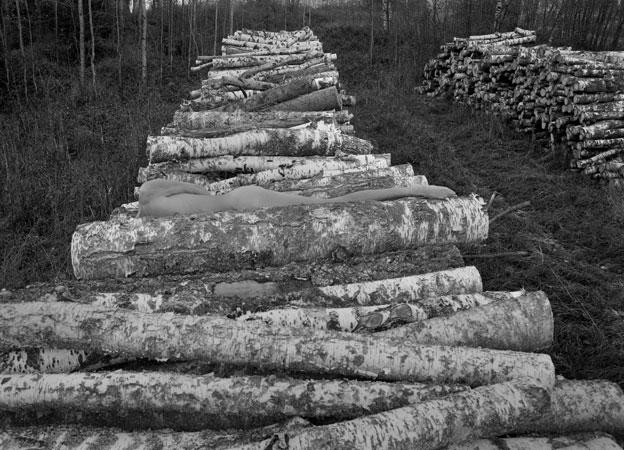 Arno Rafael Minkkinen fotografia corpo fundindo-se a paisagem