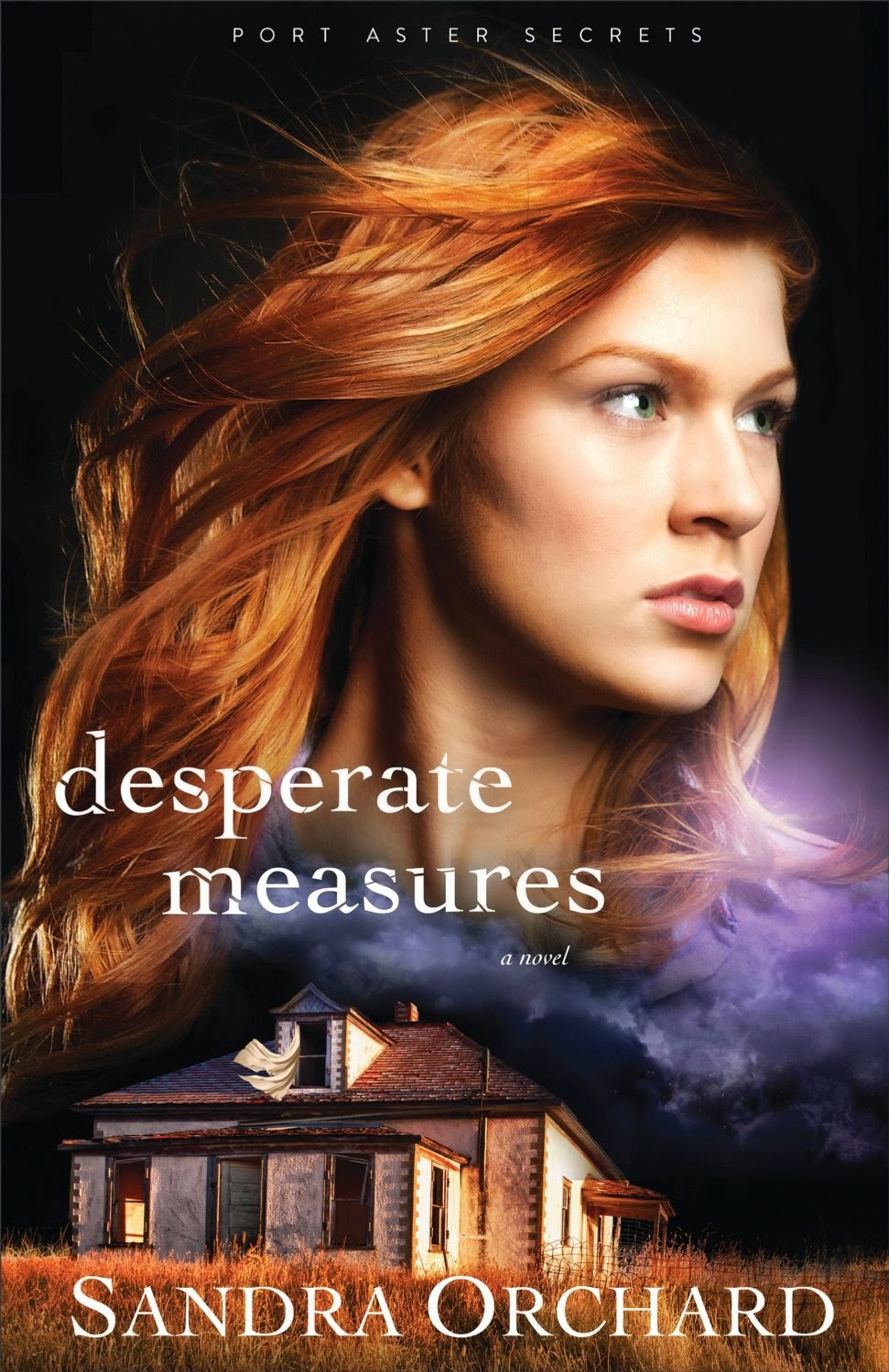 http://www.amazon.com/Desperate-Measures-Port-Aster-Secrets-ebook/dp/B00QMSCJ1M/ref=sr_1_1?s=books&ie=UTF8&qid=1434556314&sr=1-1&keywords=desperate+measures+sandra+orchard