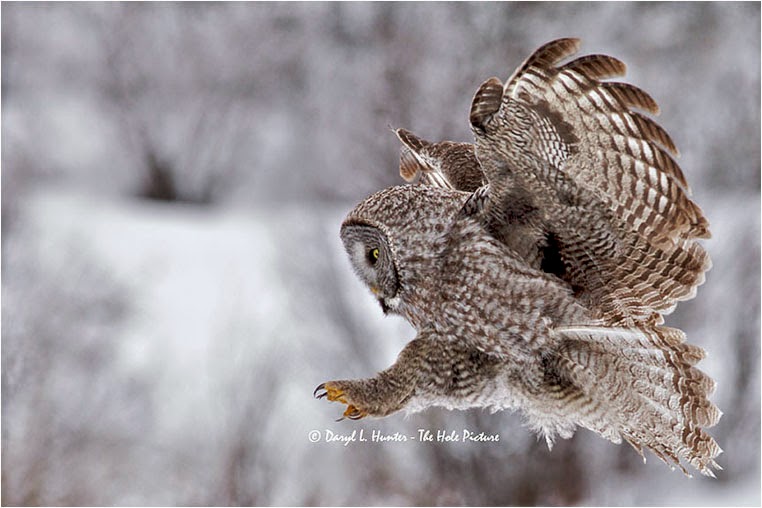 emerging photographers, Best Photo of the Day in Emphoka by Daryl L. Hunter, https://flic.kr/p/9tijDs emerging photographers, Best Photo of the Day in Emphoka by Daryl L. Hunter, https://flic.kr/p/9tijDs