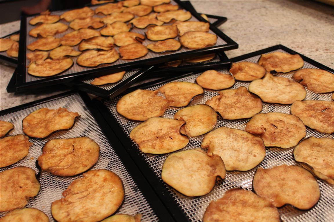 The Fiber of My Life Eggplant Bacon