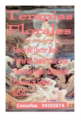 Flores de Buch