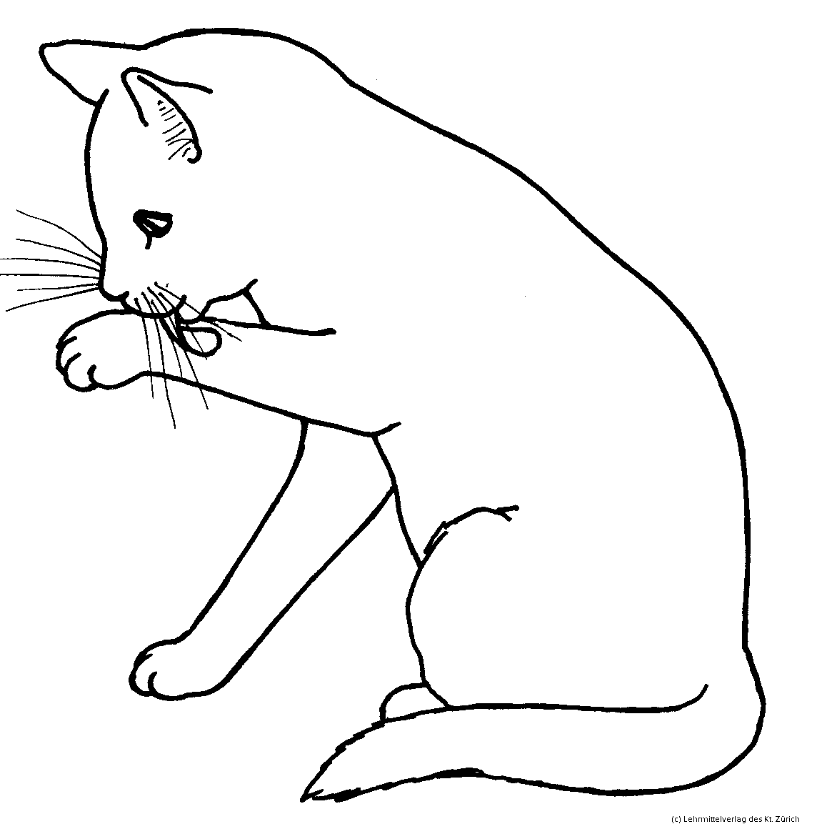 Sch N Malvorlagen Katze Galerie Malvorlagen Von Tieren Ngadi Info Sch N Malvorlagen Katze Galerie Malvorlagen Von Tieren Ngadi Info