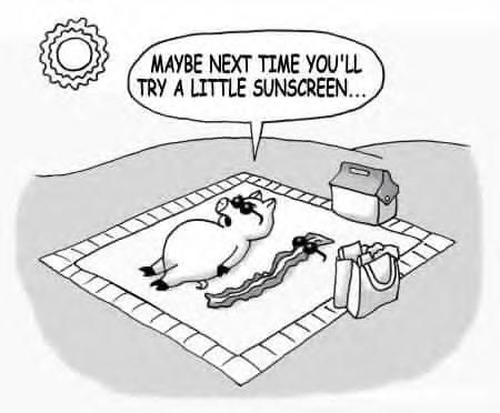 Bacon Cartoon Images