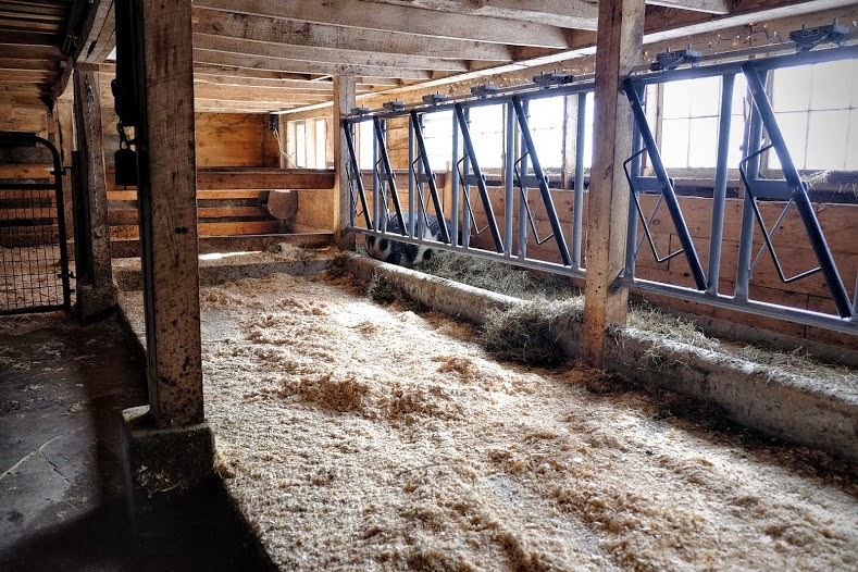 Less Noise, More Green Connecting with our food raw milk from