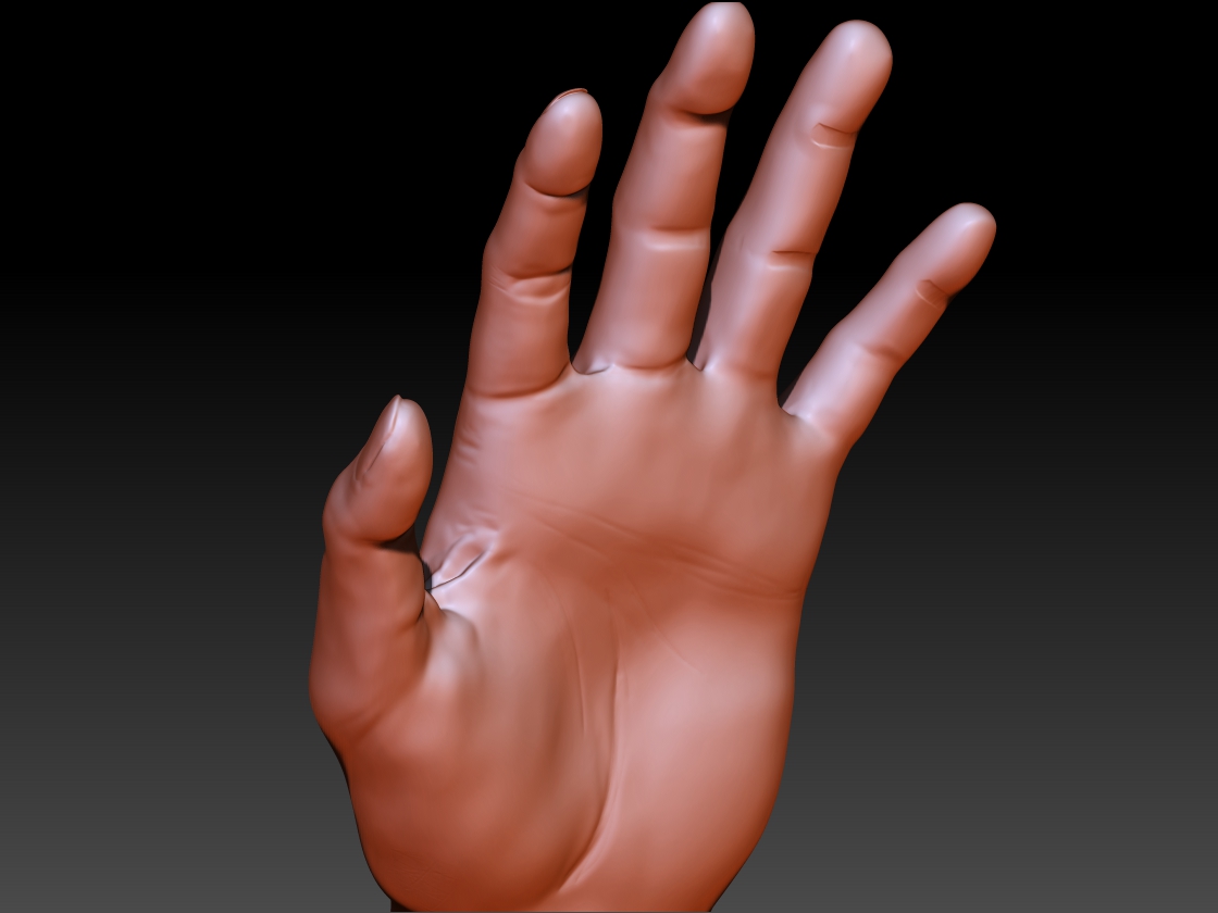 Mitch Avery Hand Modeling Day 2