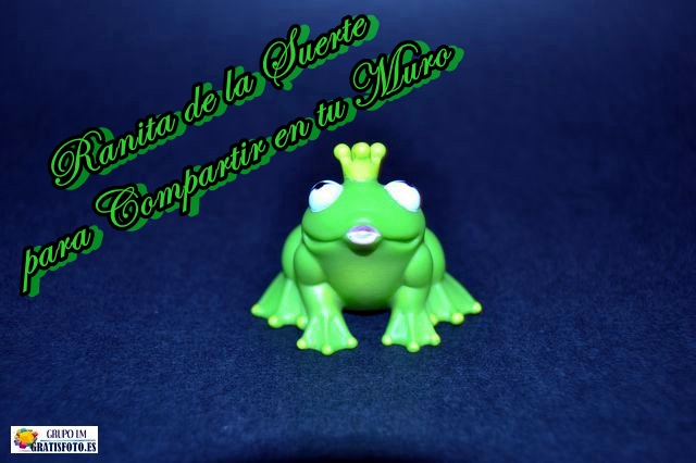 Ranita de la Suerte Ranita de la Suerte