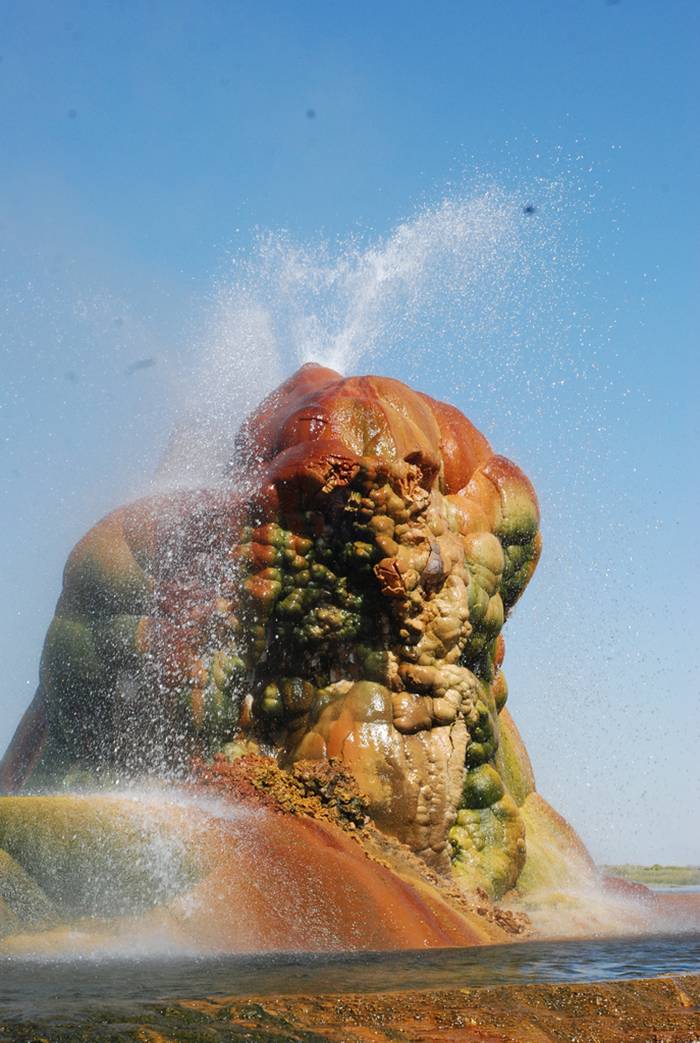 Fly Geyser is a little-known tourist attraction, even to Nevada residents. It is located near the edge of Fly Reservoir and is only about 5 feet (1.5 m) high, (12 feet (3.7 m) counting the mound on which it sits). The Geyser is not an entirely natural phenomenon, and was accidentally created in 1916 during well drilling. The well functioned normally for several decades, but in the 1960s geothermally heated water found a weak spot in the wall and began escaping to the surface. Dissolved minerals started rising and accumulating, creating the mount on which the geyser sits, which continues growing. Today water is constantly spewing, reaching 5 feet (1.5 m) in the air. The geyser contains several terraces discharging water into 30 to 40 pools over an area of 30 hectares (74 acres). The geyser is made up of a series of different minerals, which gives it its magnificent coloration.