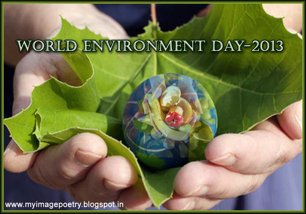 an essay on environment day an essay on environment day