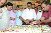 balakrishna Birthday Celebrations-thumbnail-7