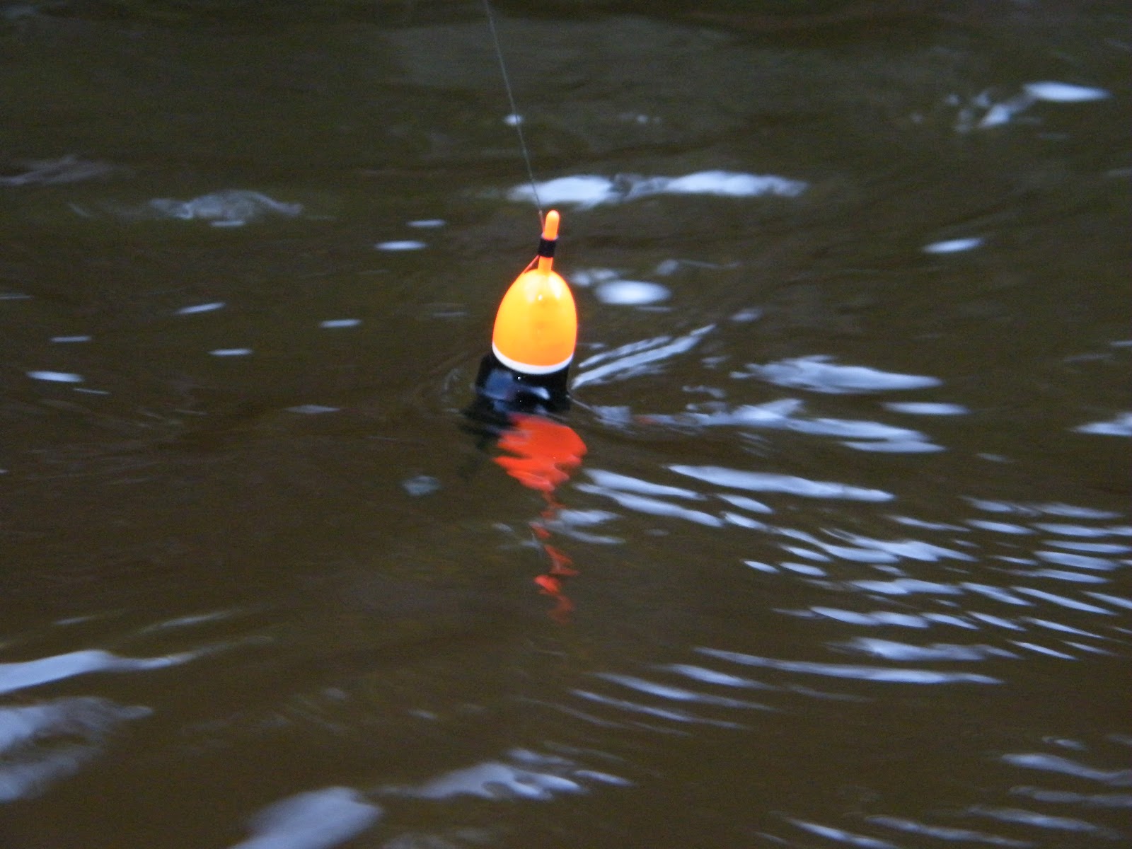 Slab Seeker Fishing Float Fishing for Steelhead