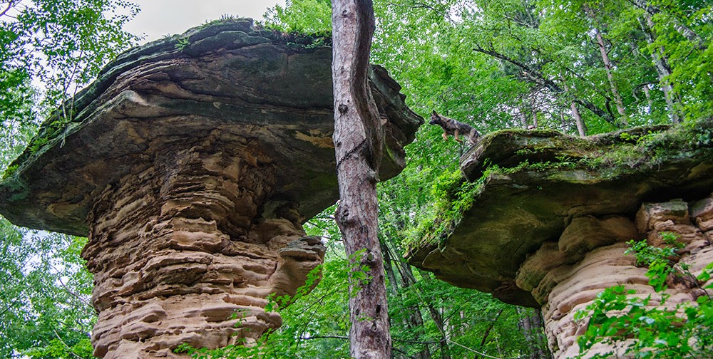 Merikay's Dream Wisconsin Dells