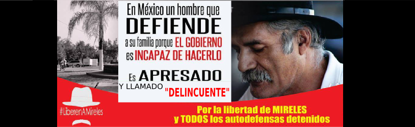 Todos Somos Mireles, Todos Somos Autodefensa