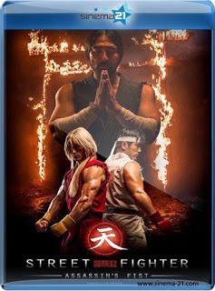 Street Fighter Assassins Fist (2014) download free movies, Street Fighter Assassins Fist subtitle