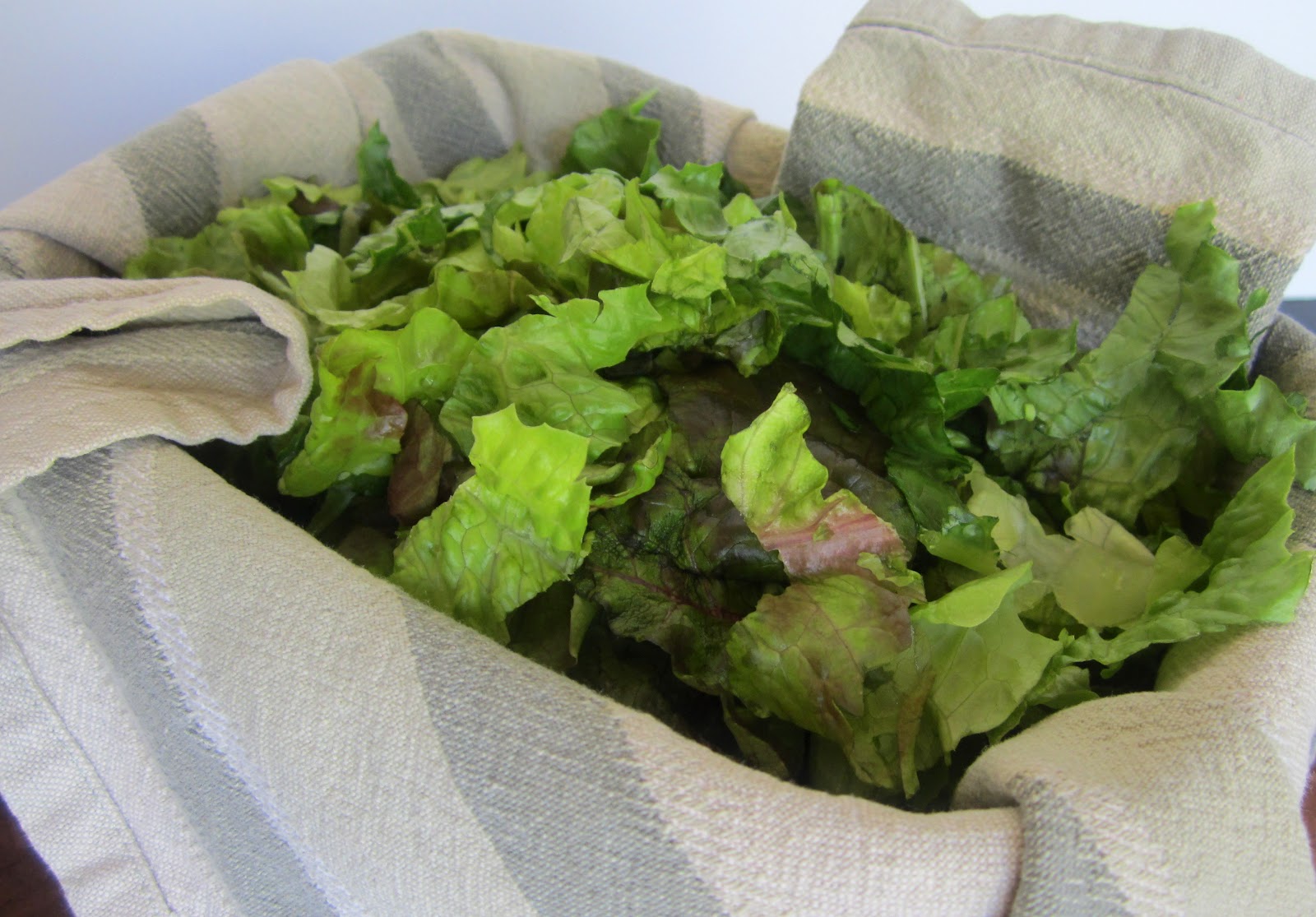 Vegetarian Hates Vegetables Better Than Bagged Lettuce