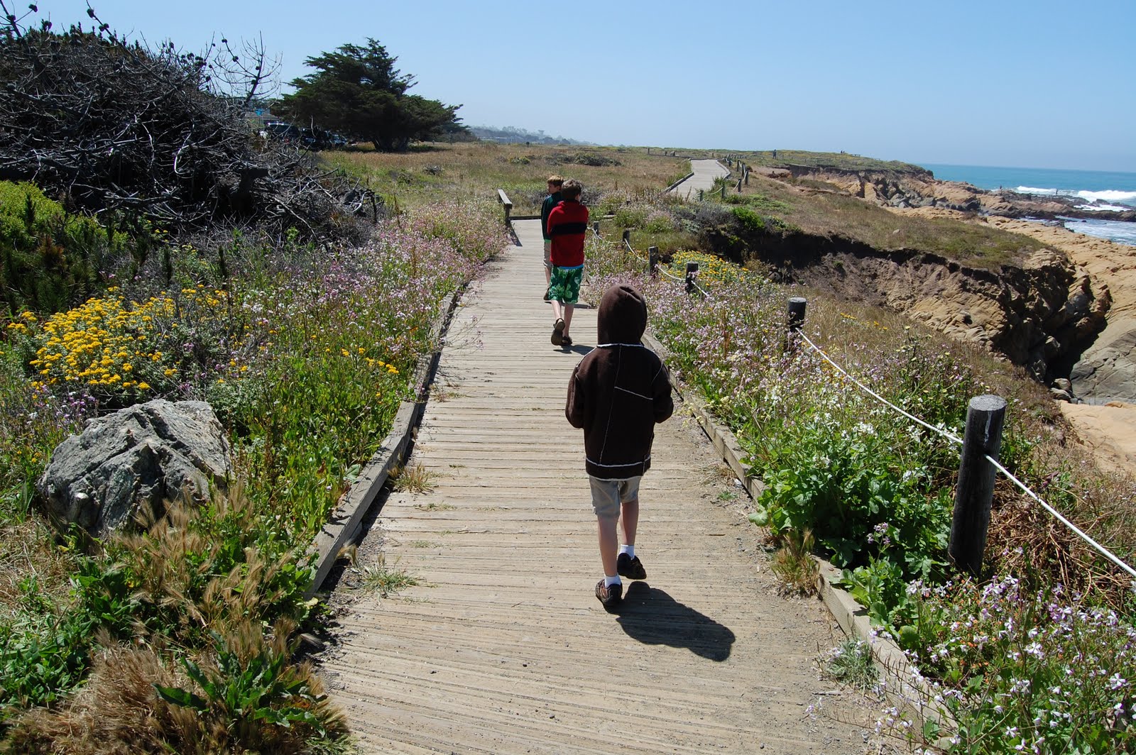 A Homegrown Life Camping at San Simeon State Beach
