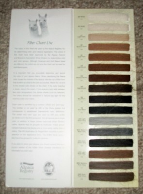 life on the farm our colorful alpacas alpaca color chart