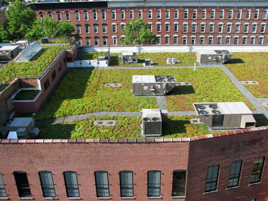 "зелені дахи" в містах