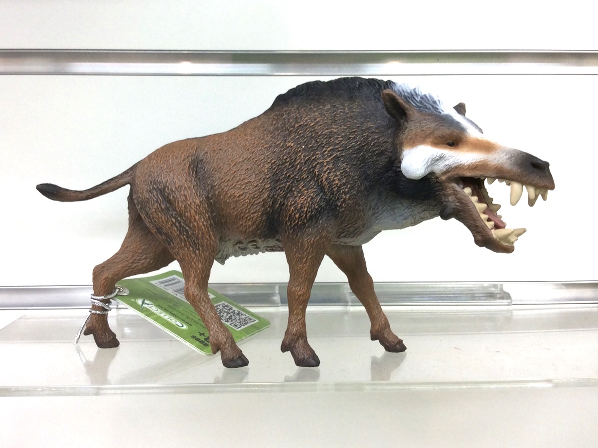 モロプス Moropus JapaneseClass.jp