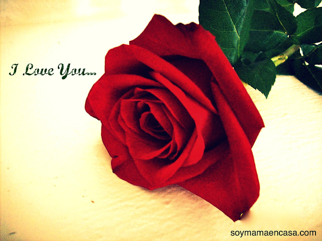 i love you rosas