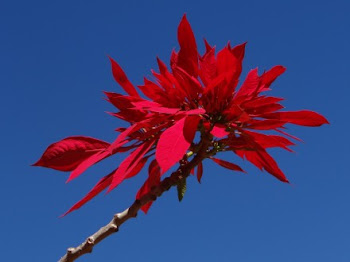 Lindo Céu de Brasilia