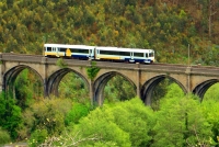 Turismo ferroviario, experiencias con niños, viajes en tren turístico