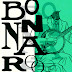 Bonnaroo 2013 thumbnail